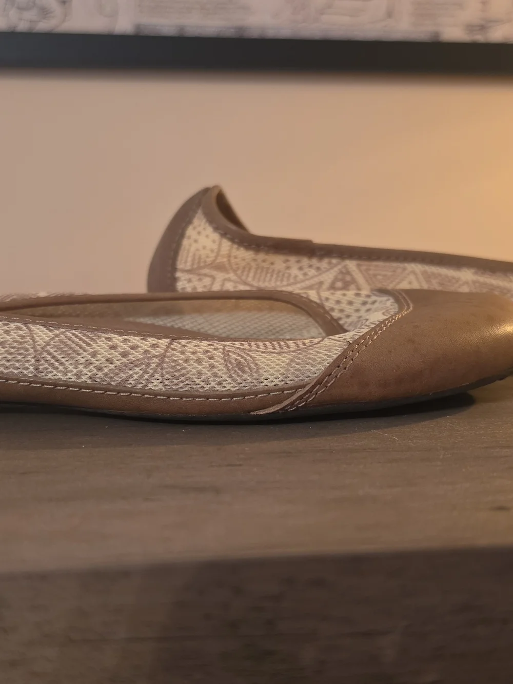 Patagonia Tan and Cream Patterned Women's Ballet Flats